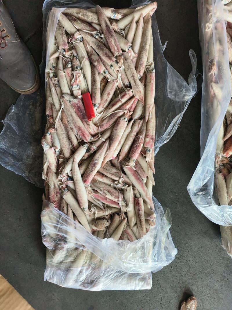 鱿鱼船冻鱿鱼25G鱿鱼东山小管鲜度好鱿鱼大鱿鱼