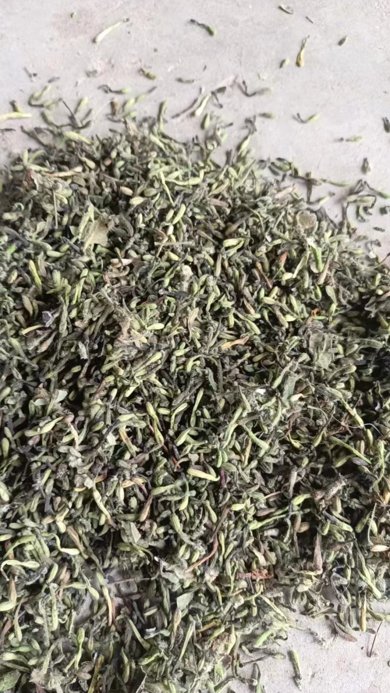四川广元大山野生金银花，毛银花