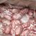 猪宝猪蛋猪睾丸国产猪宝猪蛋长期供应