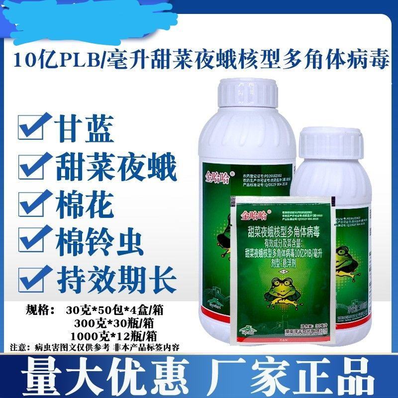 金哈哈甜菜夜蛾核型多角体病毒棉铃虫甜菜夜蛾青虫玉米螟杀虫