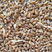 湖北地区精品小麦，水分17