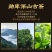 勐库古树普洱茶云南熟茶饼正宗老树3年原料陈香浓香型七子饼