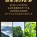 勐库古树普洱茶云南熟茶饼正宗老树3年原料陈香浓香型七子饼