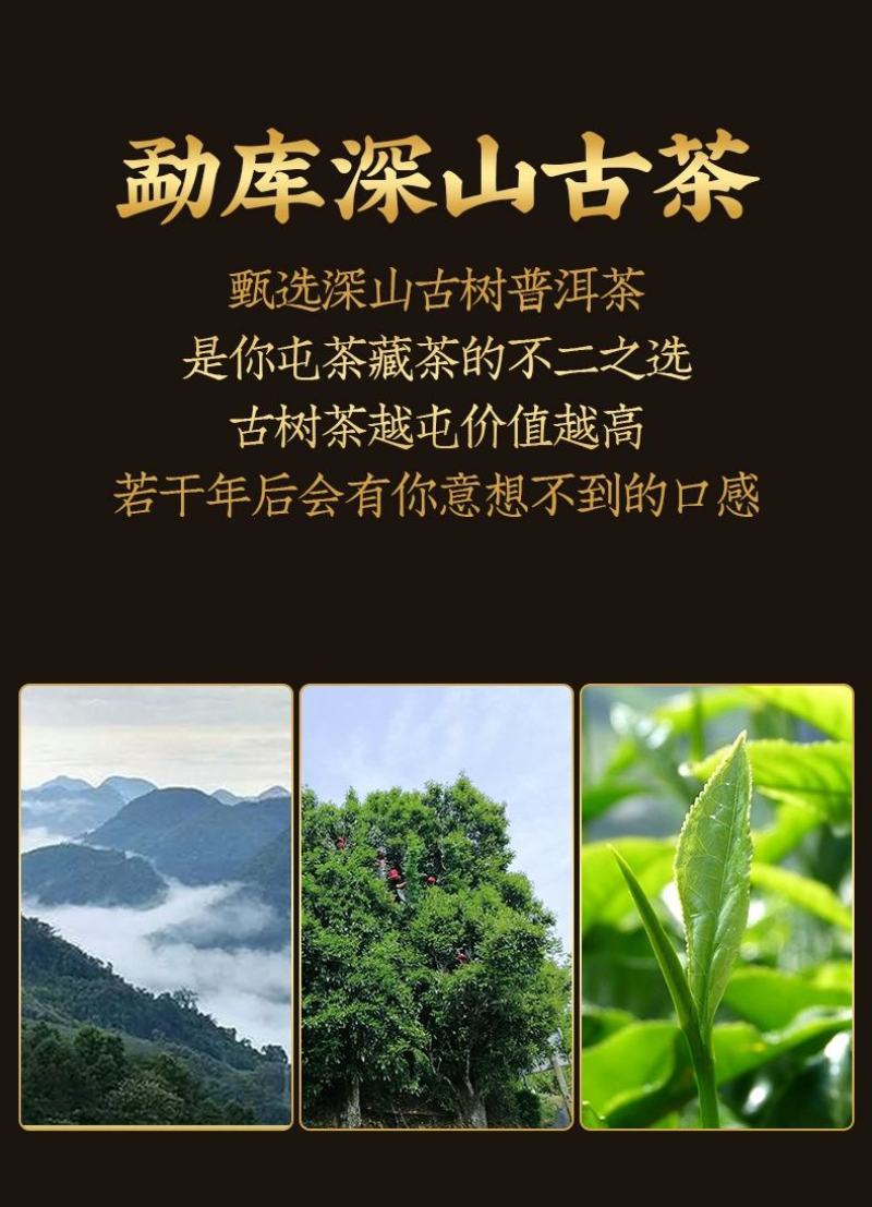 勐库古树普洱茶云南熟茶饼正宗老树3年原料陈香浓香型七子饼