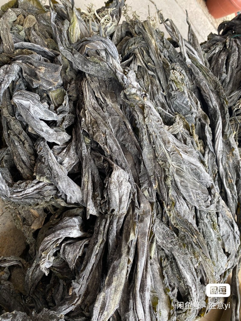 福建莆田干海带无沙挂菜，自厂自销，懂货的来