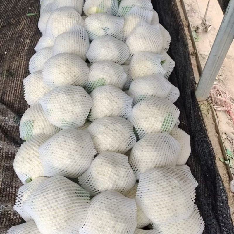 散花