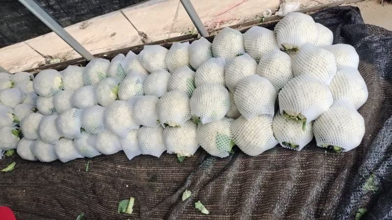 散花