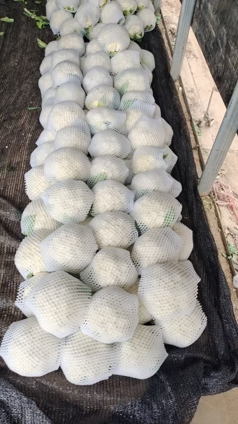 散花