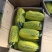博洋九号甜瓜博阳9砀山万亩基地大量上市了！保证品质