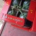 甘肃西瓜无籽美都麒麟西瓜口感好皮薄支持视频