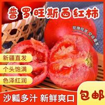 新疆沙瓤西红柿新鲜自然熟普罗旺斯现摘现发水果番茄顺丰空运