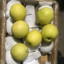 雪花梨产地一收货源质量有保证，价格低脆甜多汁欢迎来电