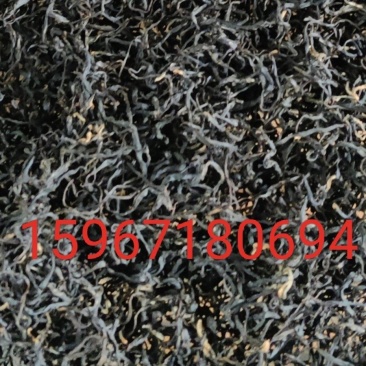 湖南湘西保靖黄金茶，红茶二叶一芽办公系列(红茶)