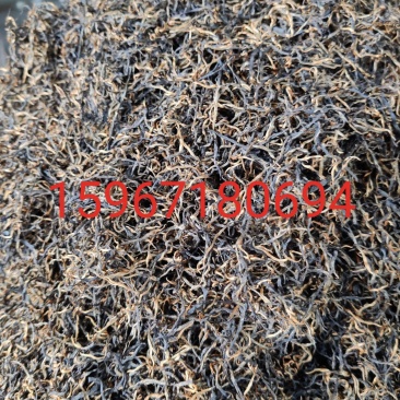 保靖县苗民农家自产保靖黄金茶（保靖黄金茶1号红茶）