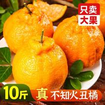 四川不知火丑橘10斤丑柑桔子酸甜橘子新鲜当季水果柑橘批