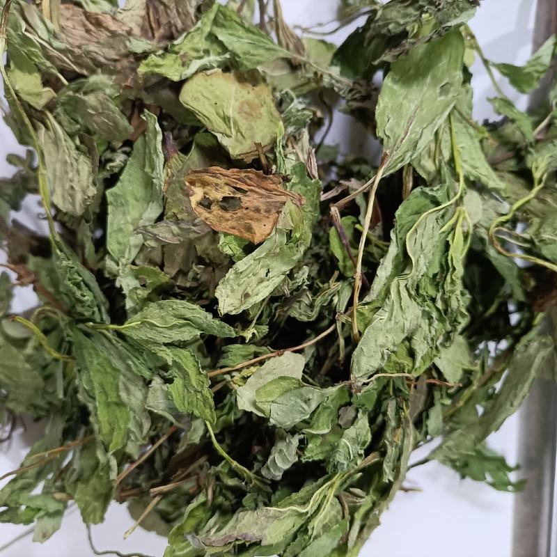 薄荷叶新货产地直发薄荷叶薄荷叶一公斤包邮