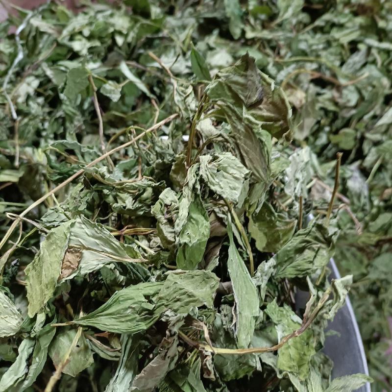 薄荷叶新货产地直发薄荷叶薄荷叶一公斤包邮
