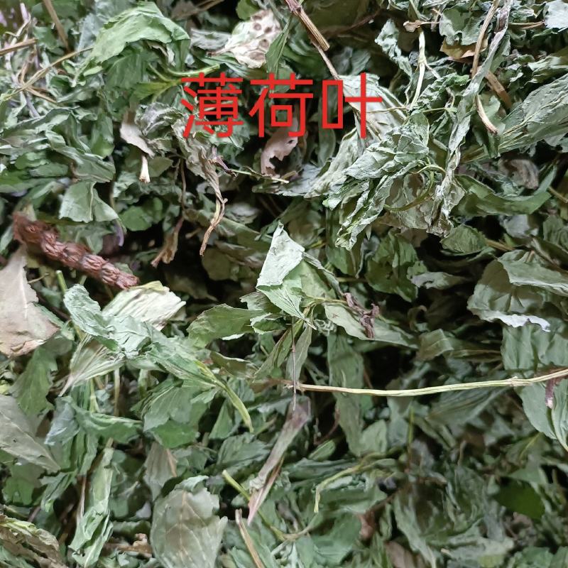 薄荷叶新货产地直发薄荷叶薄荷叶一公斤包邮