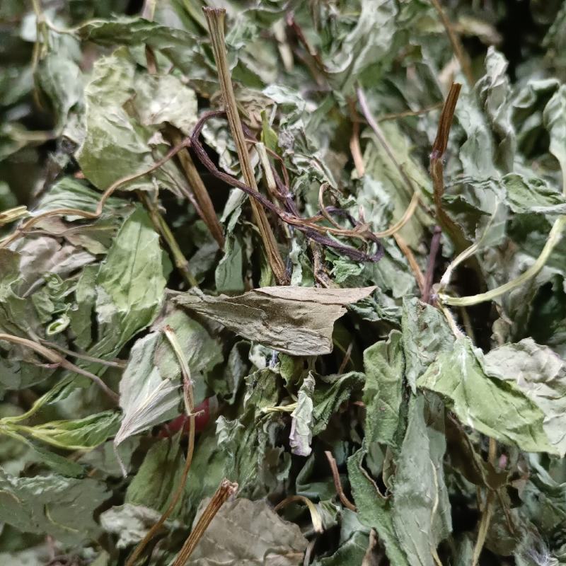 薄荷叶新货产地直发薄荷叶薄荷叶一公斤包邮