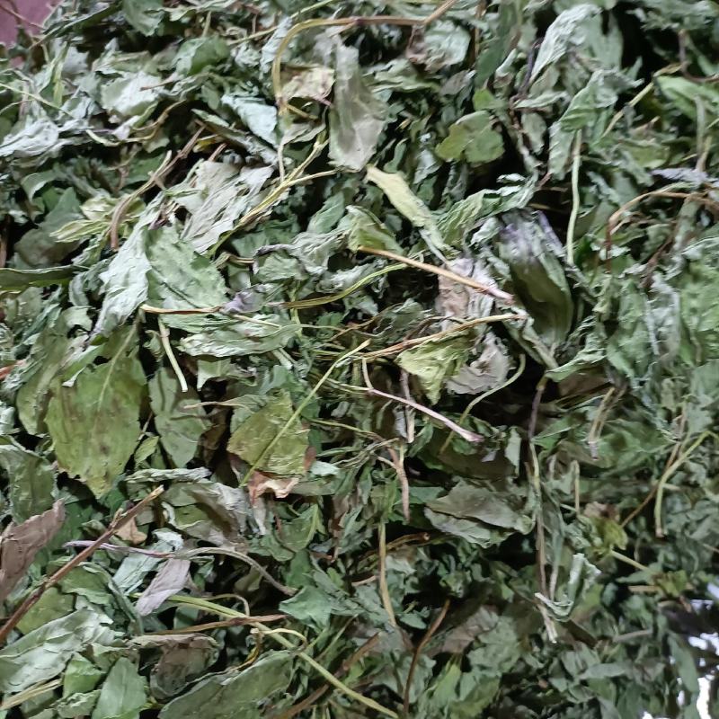 薄荷叶新货产地直发薄荷叶薄荷叶一公斤包邮