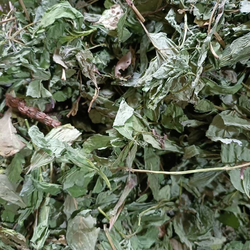 薄荷叶新货产地直发薄荷叶薄荷叶一公斤包邮