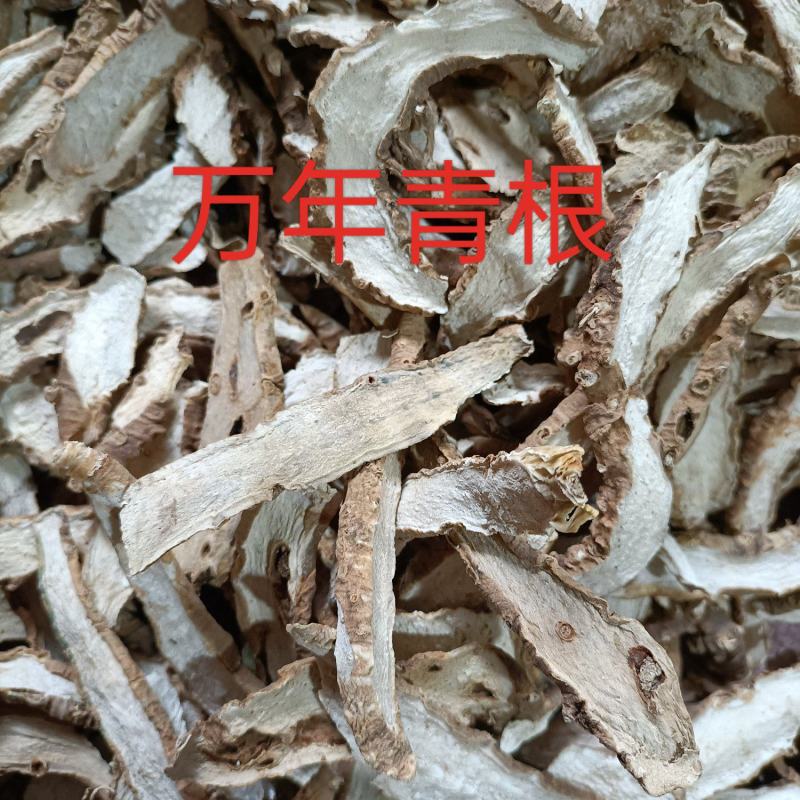 冷背药材万年青根正品万年青根一公斤包邮