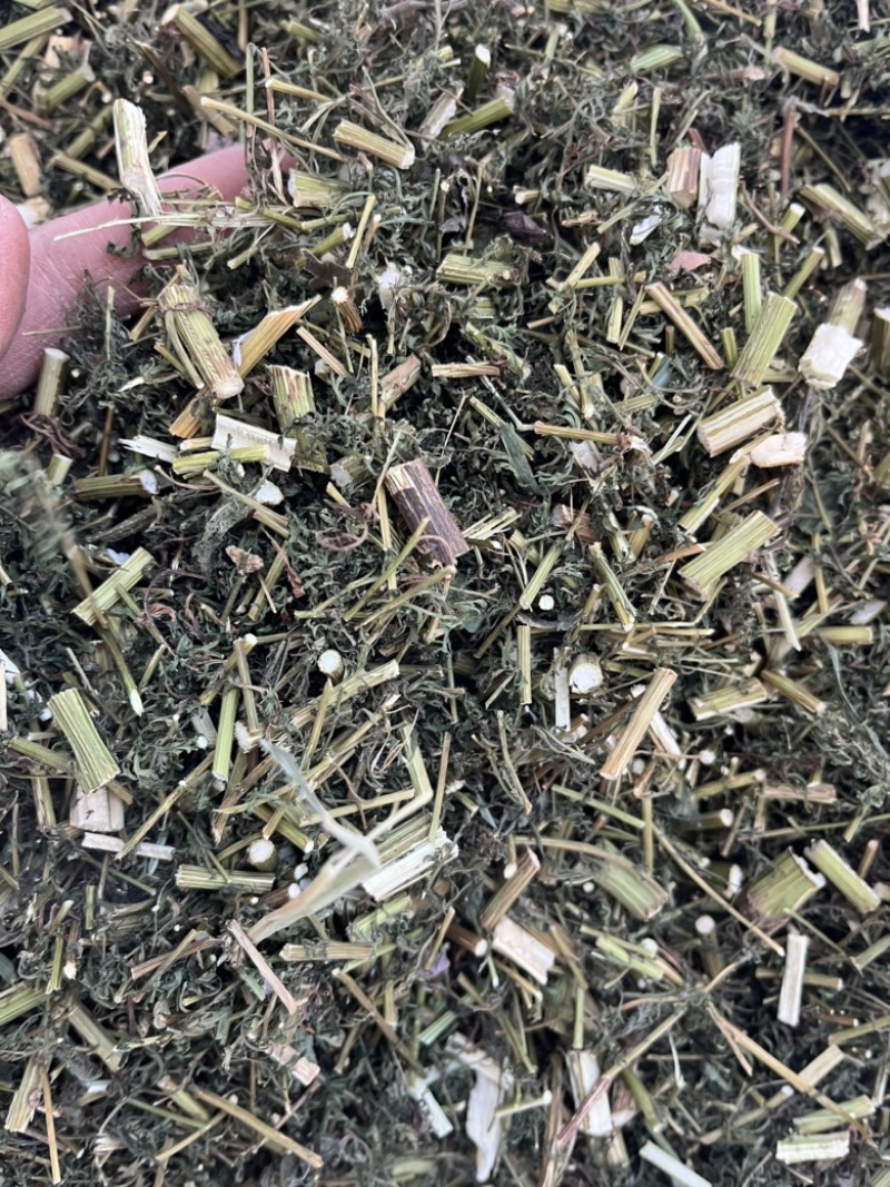 【青蒿】中药材青蒿颜色绿过筛欢迎下单文斌药业