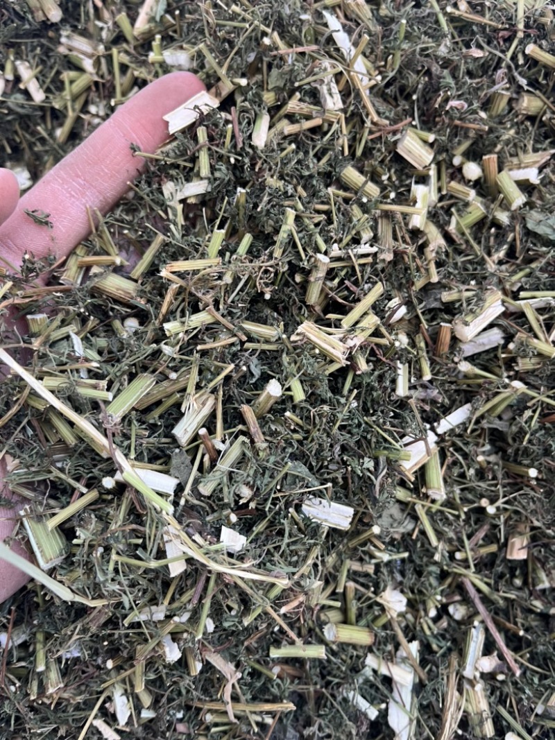 【青蒿】中药材青蒿颜色绿过筛欢迎下单文斌药业