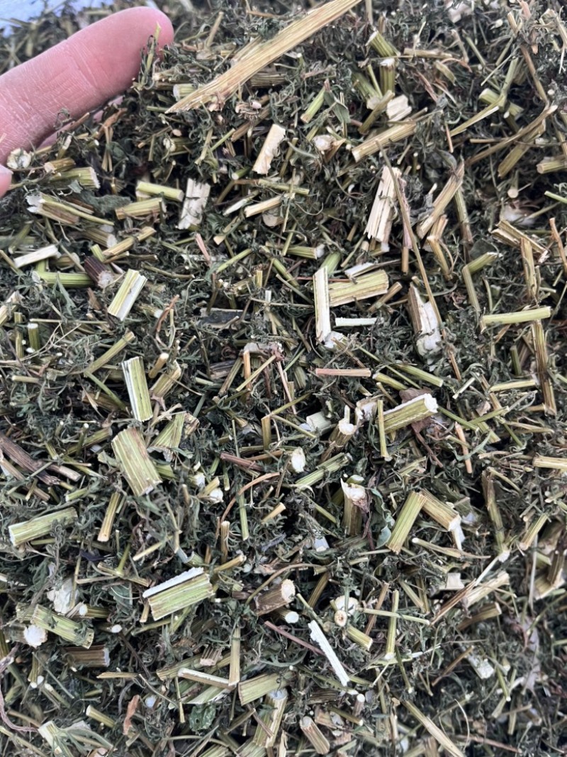 【青蒿】中药材青蒿颜色绿过筛欢迎下单文斌药业