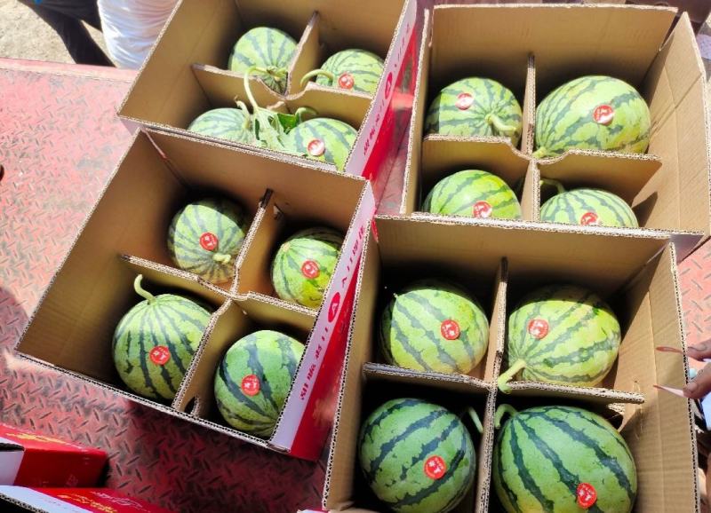 【推荐】湖南麒麟西瓜代办包熟包甜供应市场商超电商