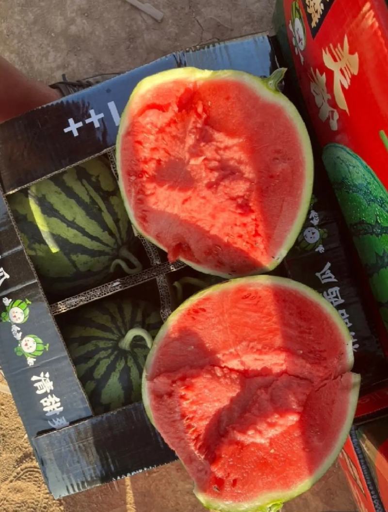 【推荐】湖南麒麟西瓜代办包熟包甜供应市场商超电商