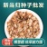 新鲜当归种子中药材种子种苗野生特级正品岷县当归种子