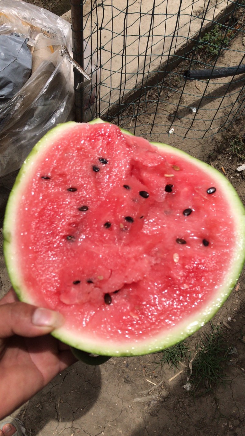 口口脆O包开包卖