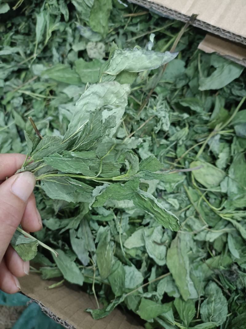 薄荷，产地河南，水洗烘干，挥发油高，可泡茶，全国发货