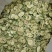苦瓜干，烘干，今年新货，质量保证，全国发货