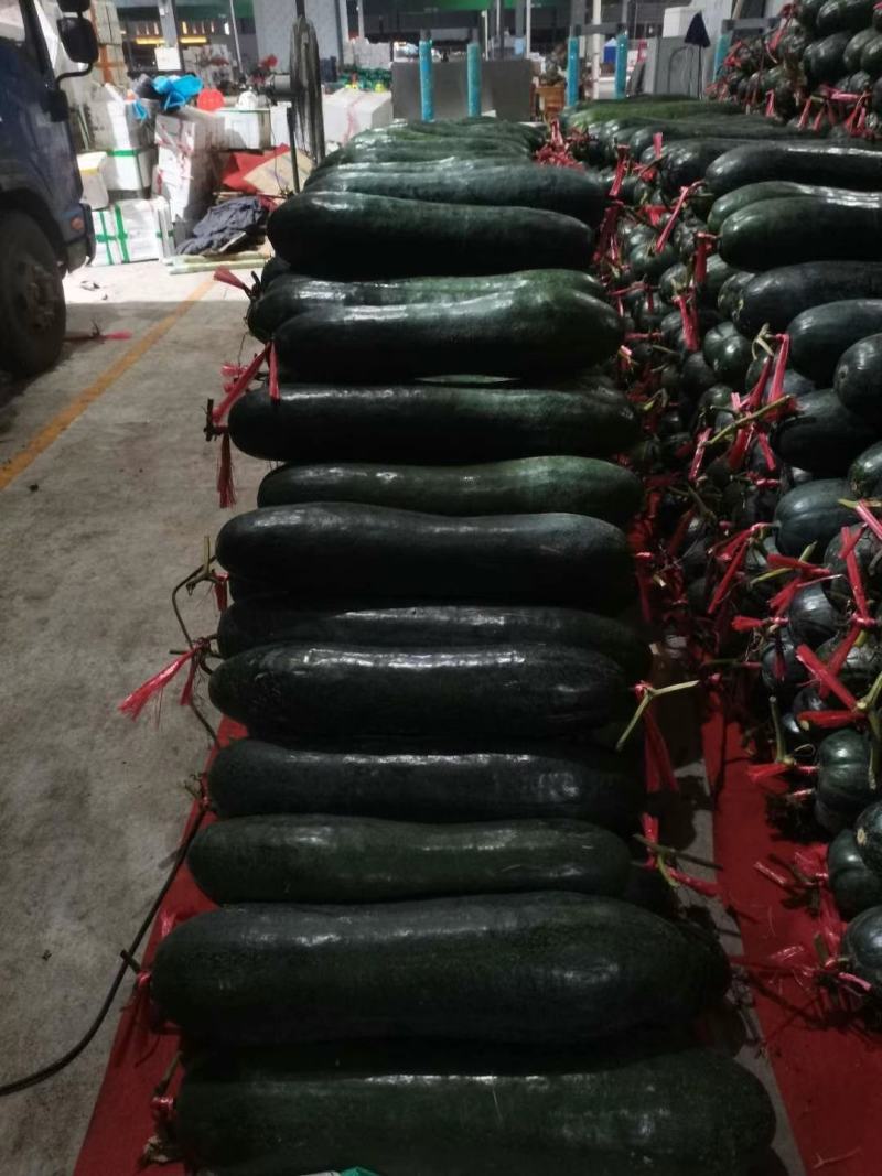 本地区黑皮、白皮冬瓜吊瓜.地冬瓜已经上市啦！欢迎联系！