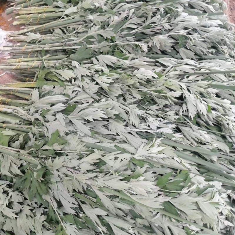 端午艾草出售