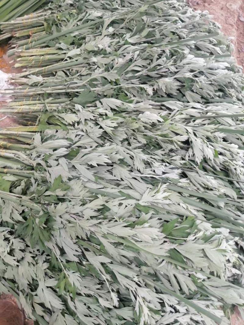 端午艾草出售