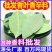 调料香叶增味提香月桂叶批发香料调料香叶火锅底料卤腌香