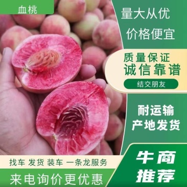 血桃，优质桃基地5斤装/10斤装承接各大电商平台一件代发