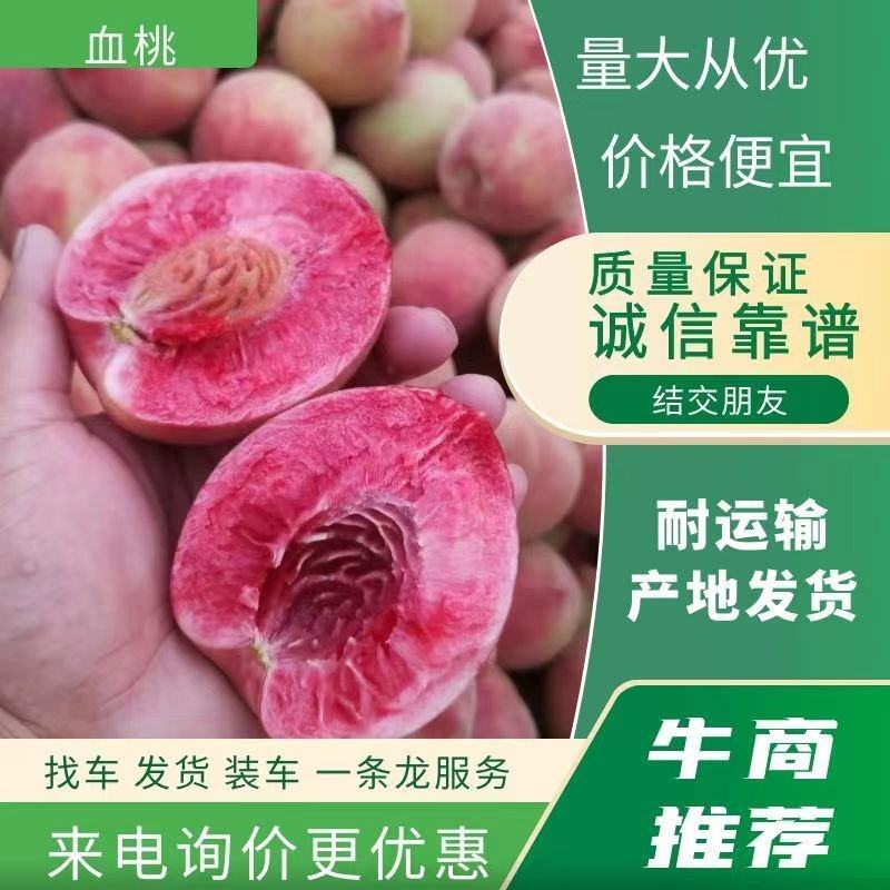 血桃，优质桃基地5斤装/10斤装承接各大电商平台一件代发