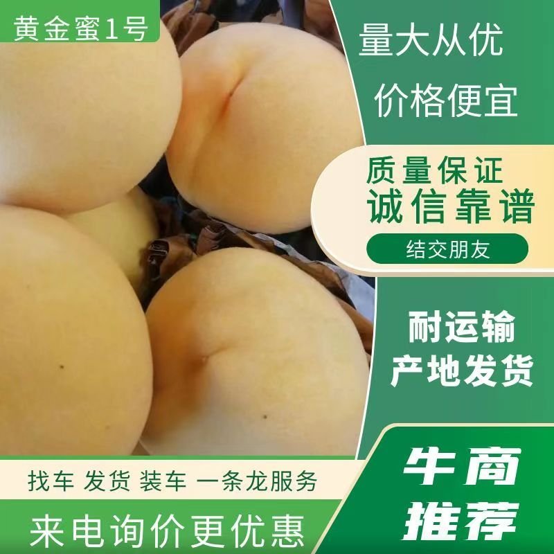 南阳黄桃《黄金蜜7号，黄金蜜1号，口感好上市早！