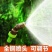 电动喷雾器喷头八孔农药打药喷头通用型农用高压纯铜加厚细腻