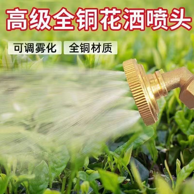 电动喷雾器喷头八孔农药打药喷头通用型农用高压纯铜加厚细腻