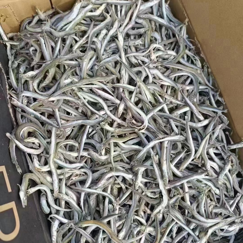 银针鱼适用于任何人群