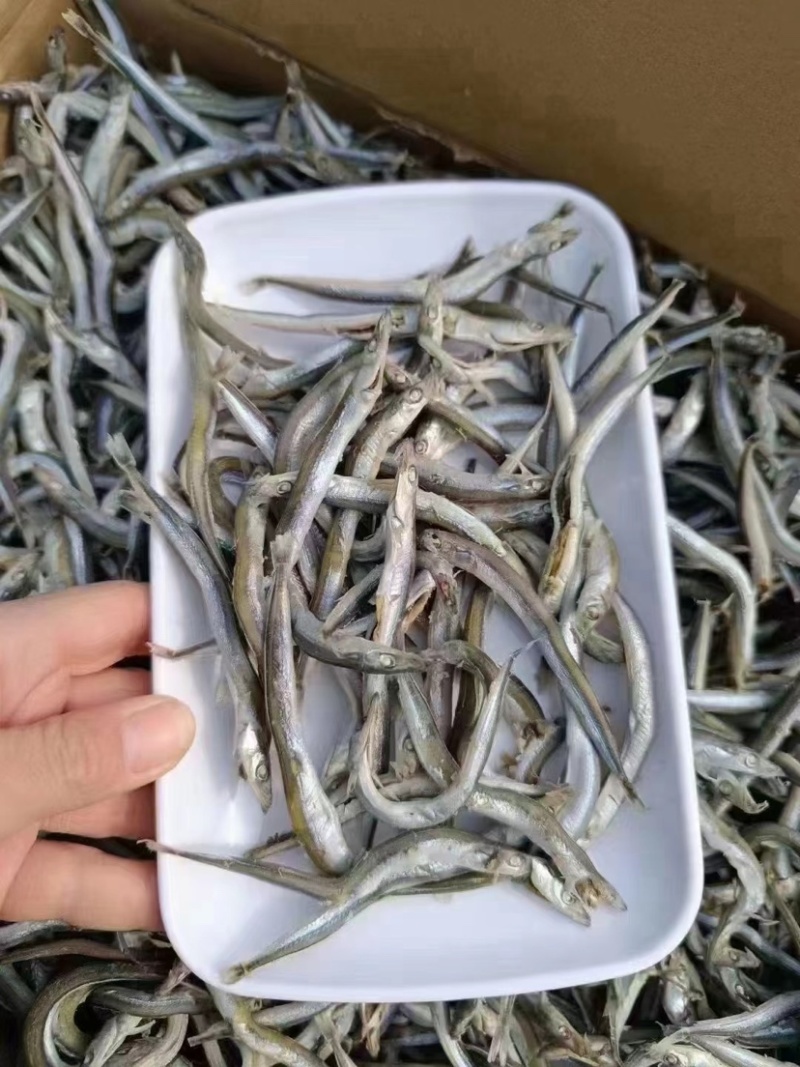 银针鱼适用于任何人群