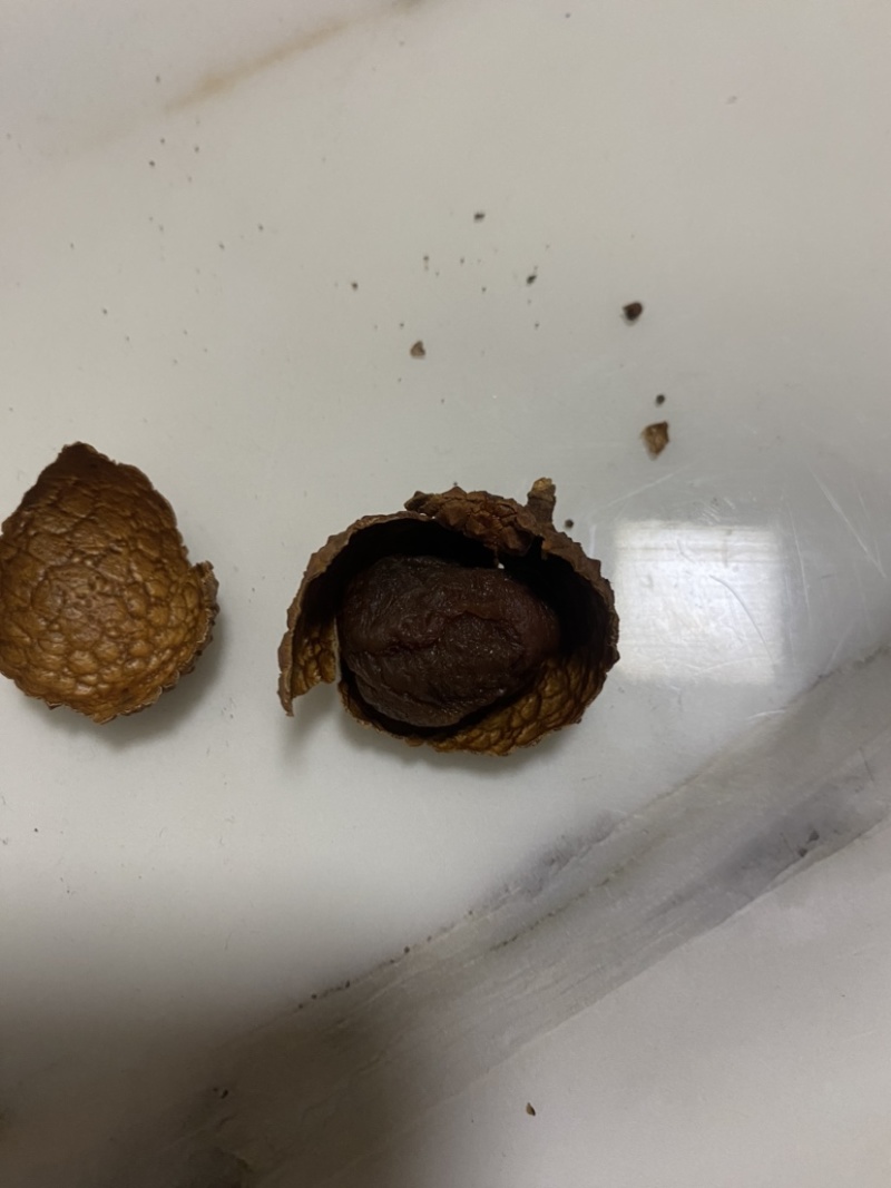 荔枝干