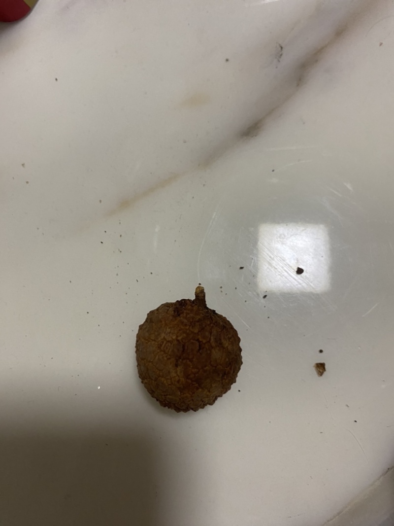 荔枝干