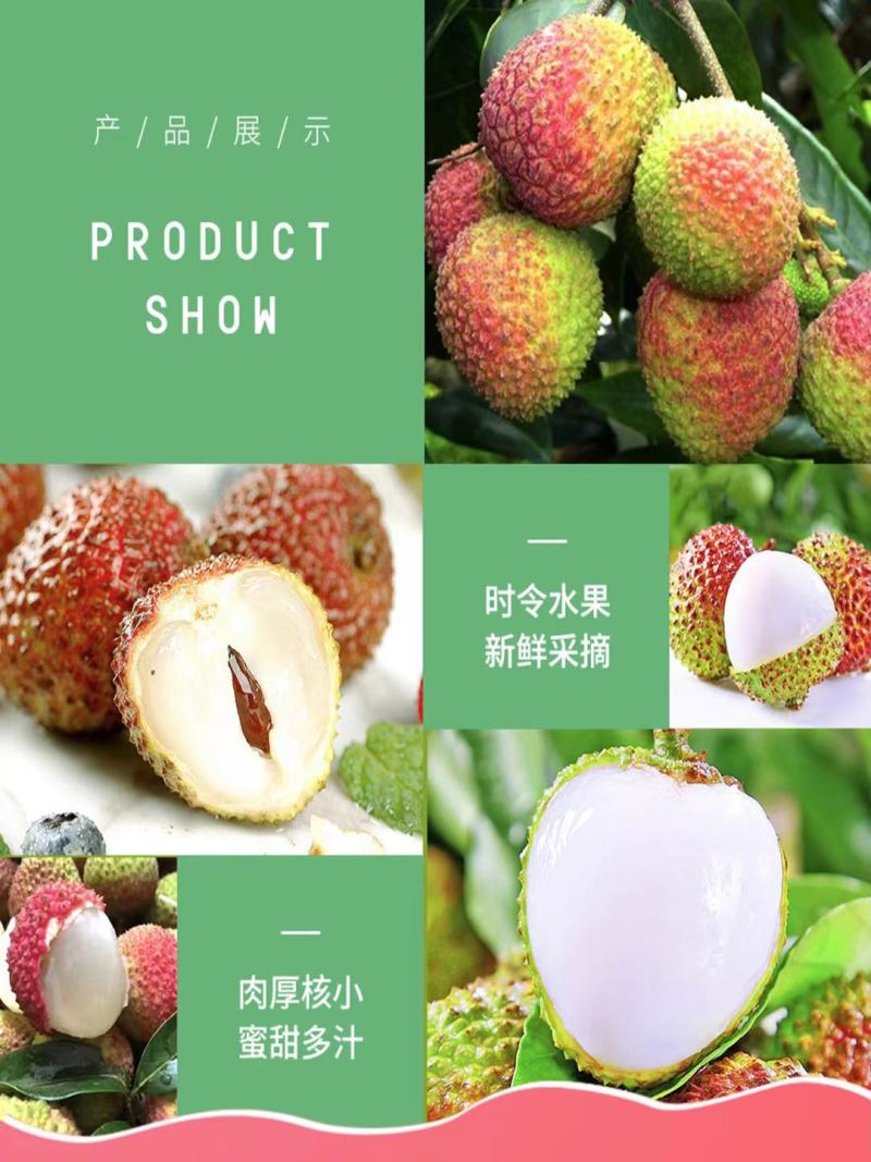 荔枝/白糖罂/妃子笑/桂味/黑叶/糯米糍大果园基地