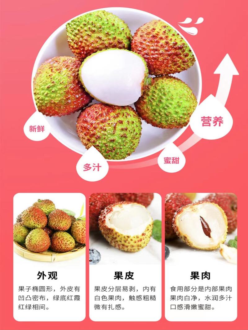 荔枝/白糖罂/妃子笑/桂味/黑叶/糯米糍大果园基地